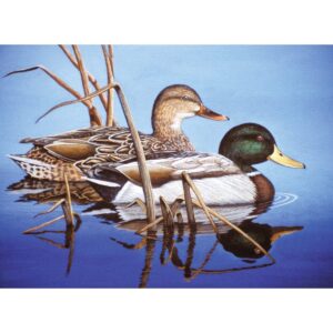 Paint by Number Blue Water Mallards