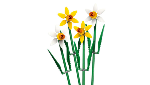 Product - Image 4