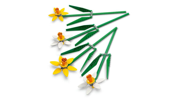 Product - Image 5