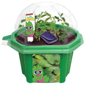 Morgan the Mighty Mover Micro Terrarium