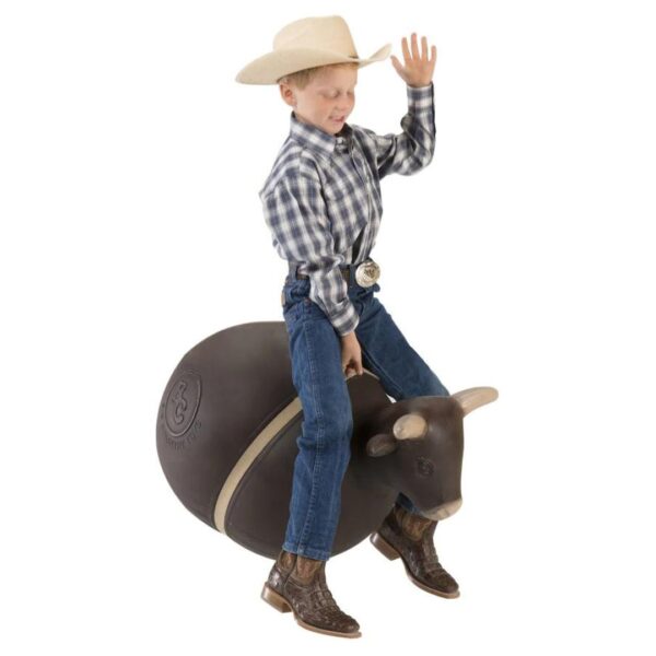 Bouncy Bull - Image 2