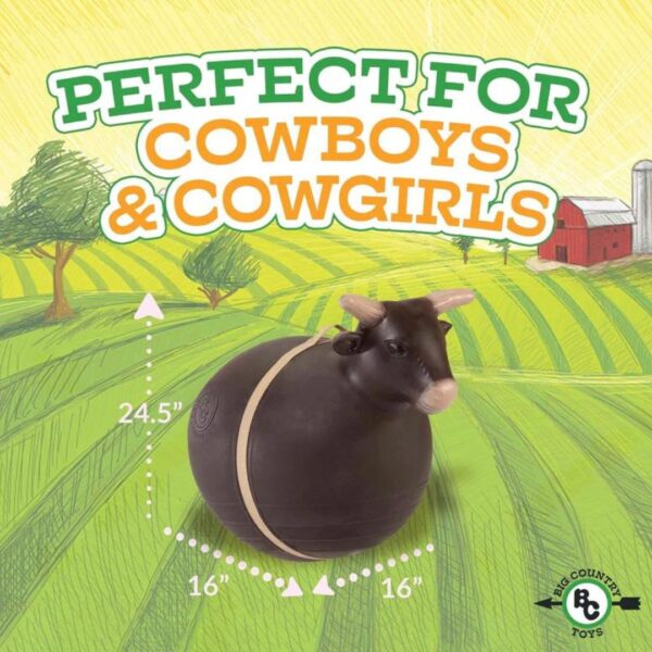 Bouncy Bull - Image 6